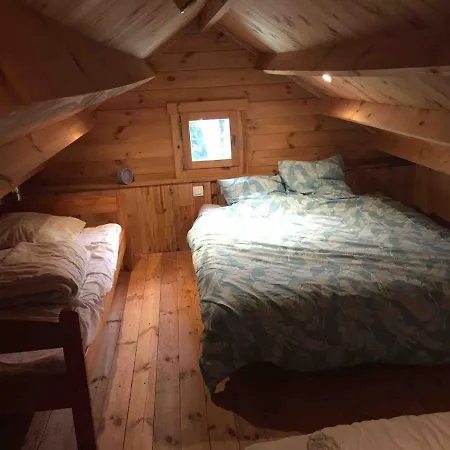 Dağ evi En Lisiere De Foret Lacanau