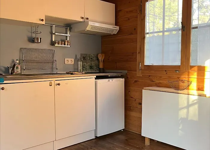 En Lisiere De Foret Dağ evi Lacanau